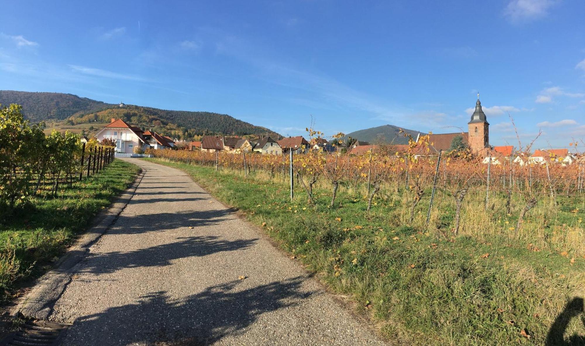 Ferienwohnung Suedpfalzblick Burrweiler Luaran gambar