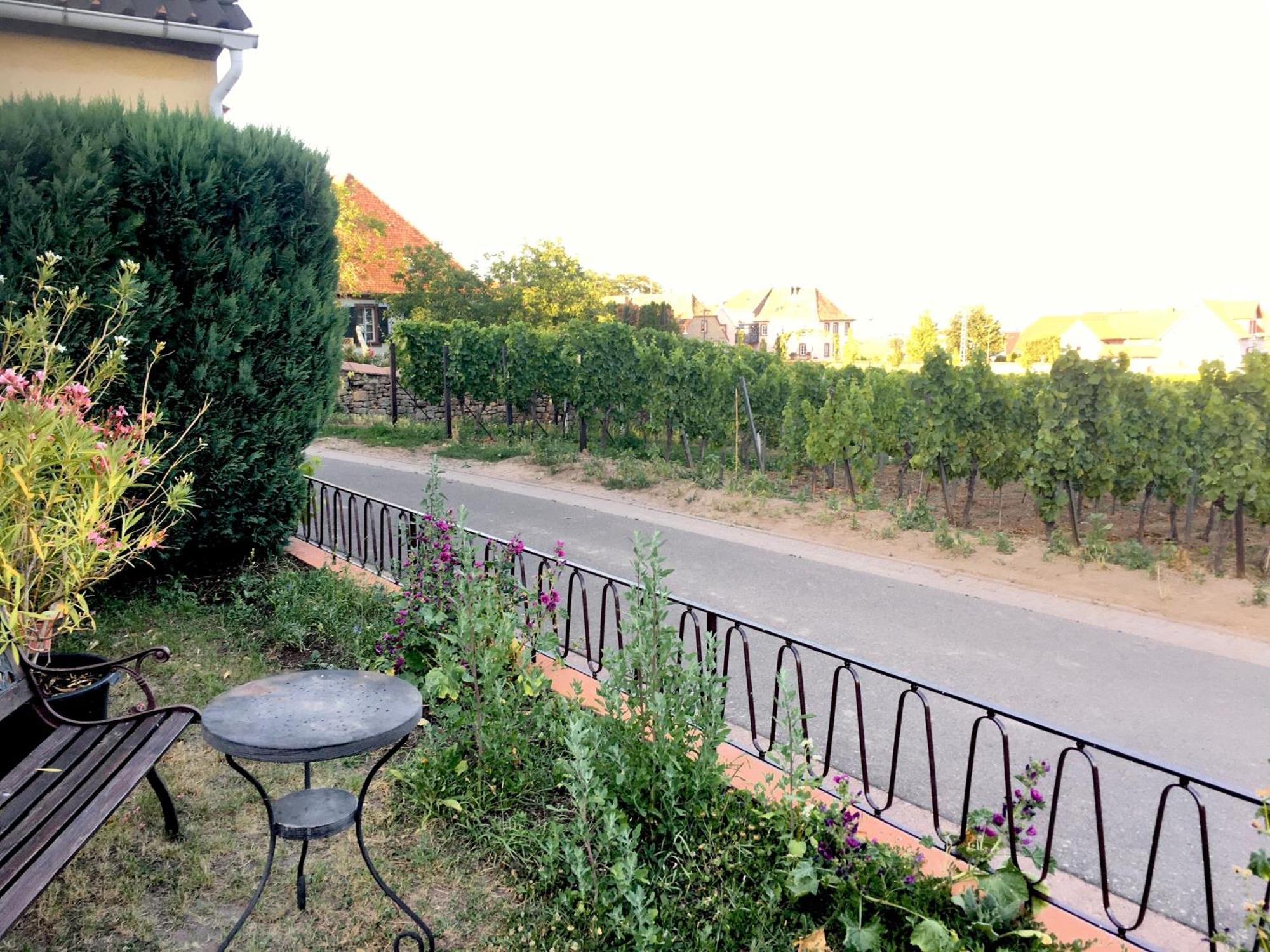 Ferienwohnung Suedpfalzblick Burrweiler Luaran gambar